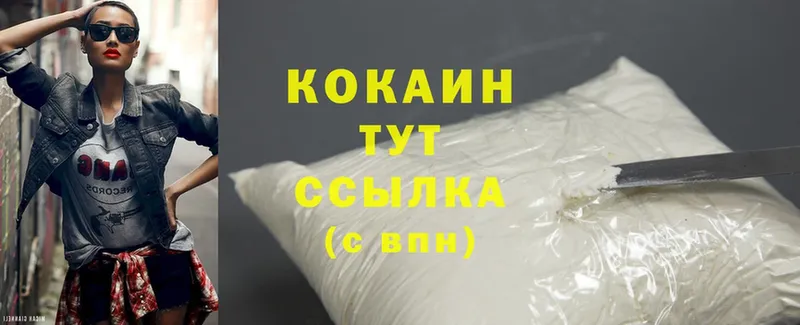 Cocaine Fish Scale  купить  цена  MEGA маркетплейс  Мирный 