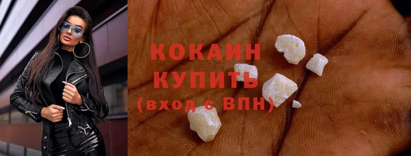 индика Нефтегорск