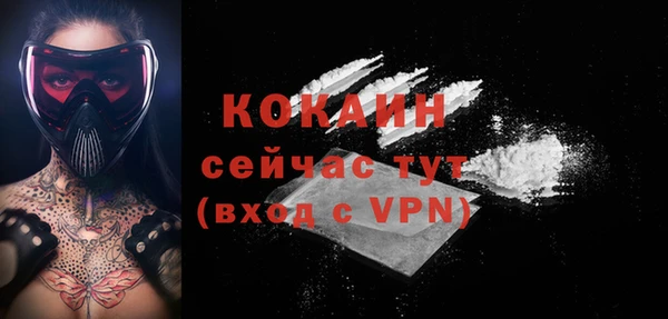 индика Нефтегорск