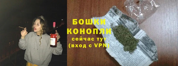 индика Нефтегорск