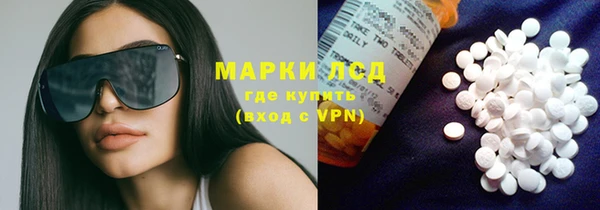 прущие грибы Нефтекумск