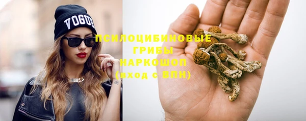 альфа пвп Нея
