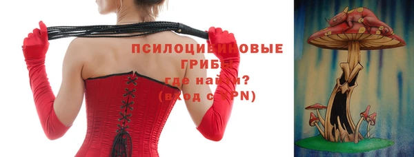 прущие грибы Нефтекумск