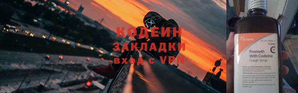 крисы Надым