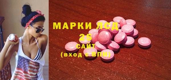 индика Нефтегорск