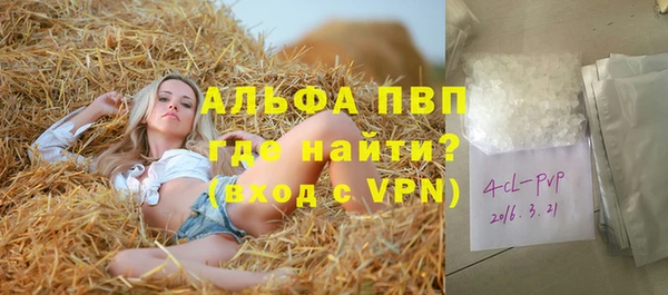 прущие грибы Нефтекумск