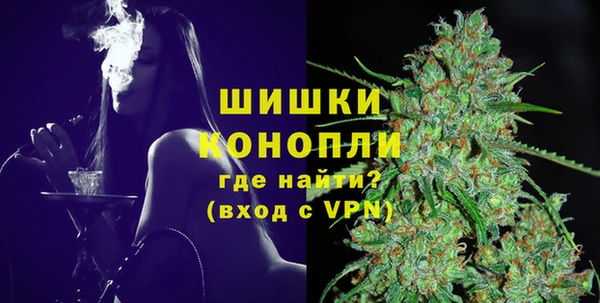индика Нефтегорск