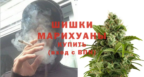 прущие грибы Нефтекумск