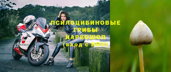 крисы Надым