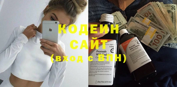 индика Нефтегорск