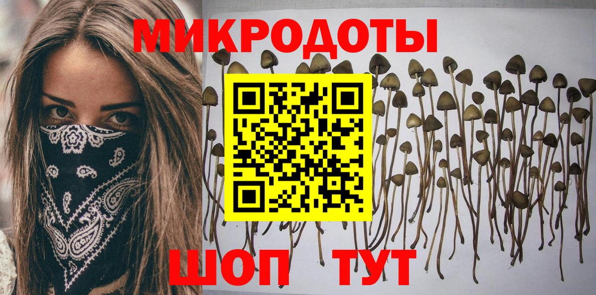 Галлюциногенные грибы Psilocybe Мирный