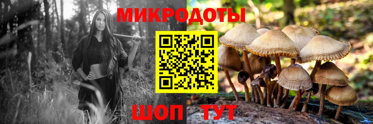 Мирный  Псилоцибиновые грибы Cubensis  Вход с VPN 