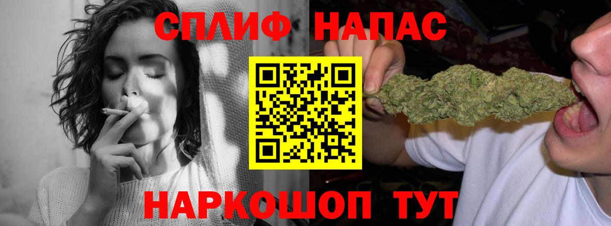 Каннабис планчик Мирный